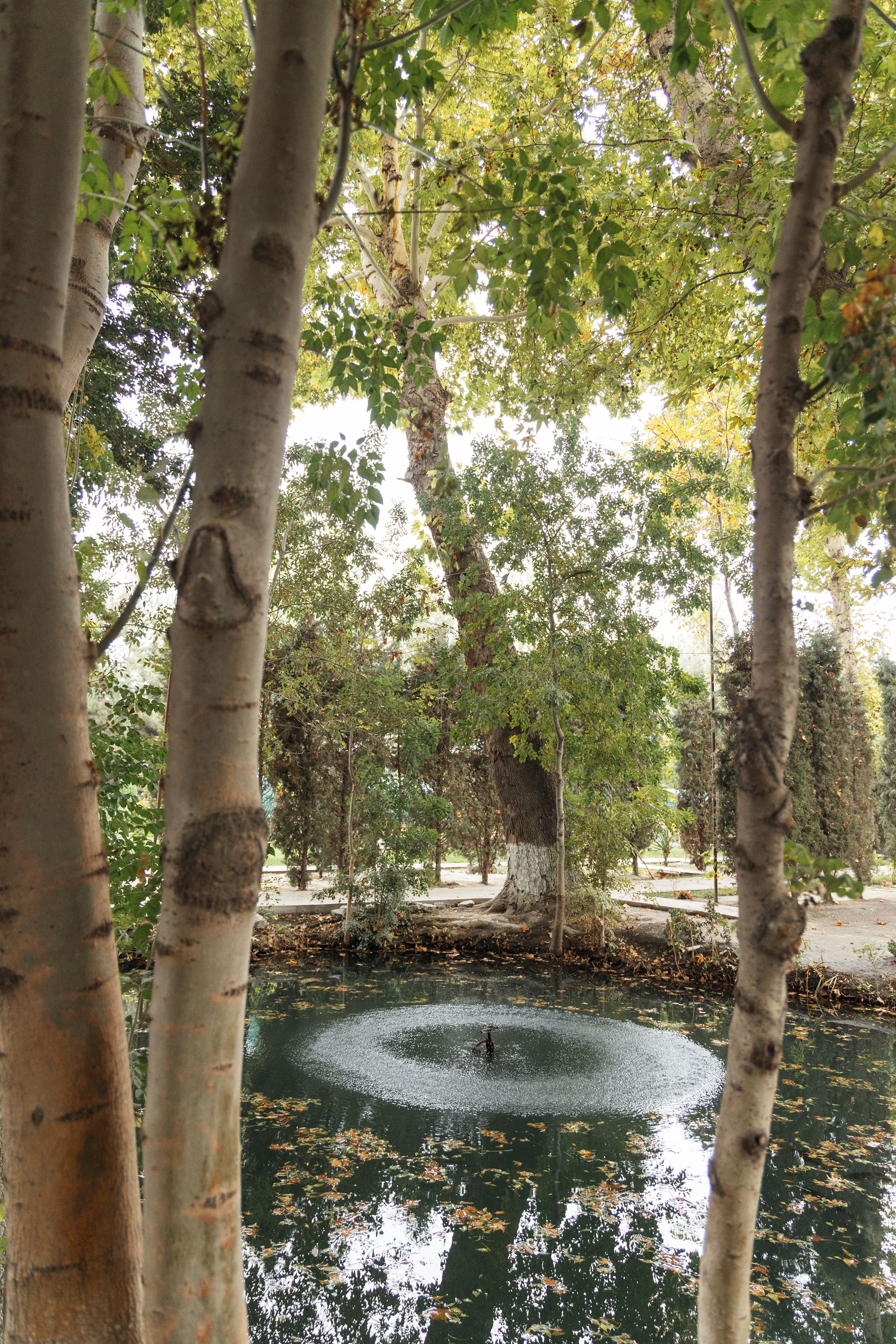 Sanatoriya bog'idagi favvora